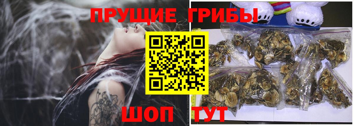 Галлюциногенные грибы MAGIC MUSHROOMS Элиста