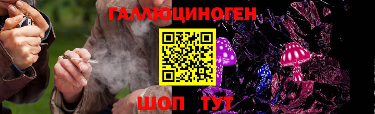 Галлюциногенные грибы GOLDEN TEACHER  Вход с VPN  Элиста 
